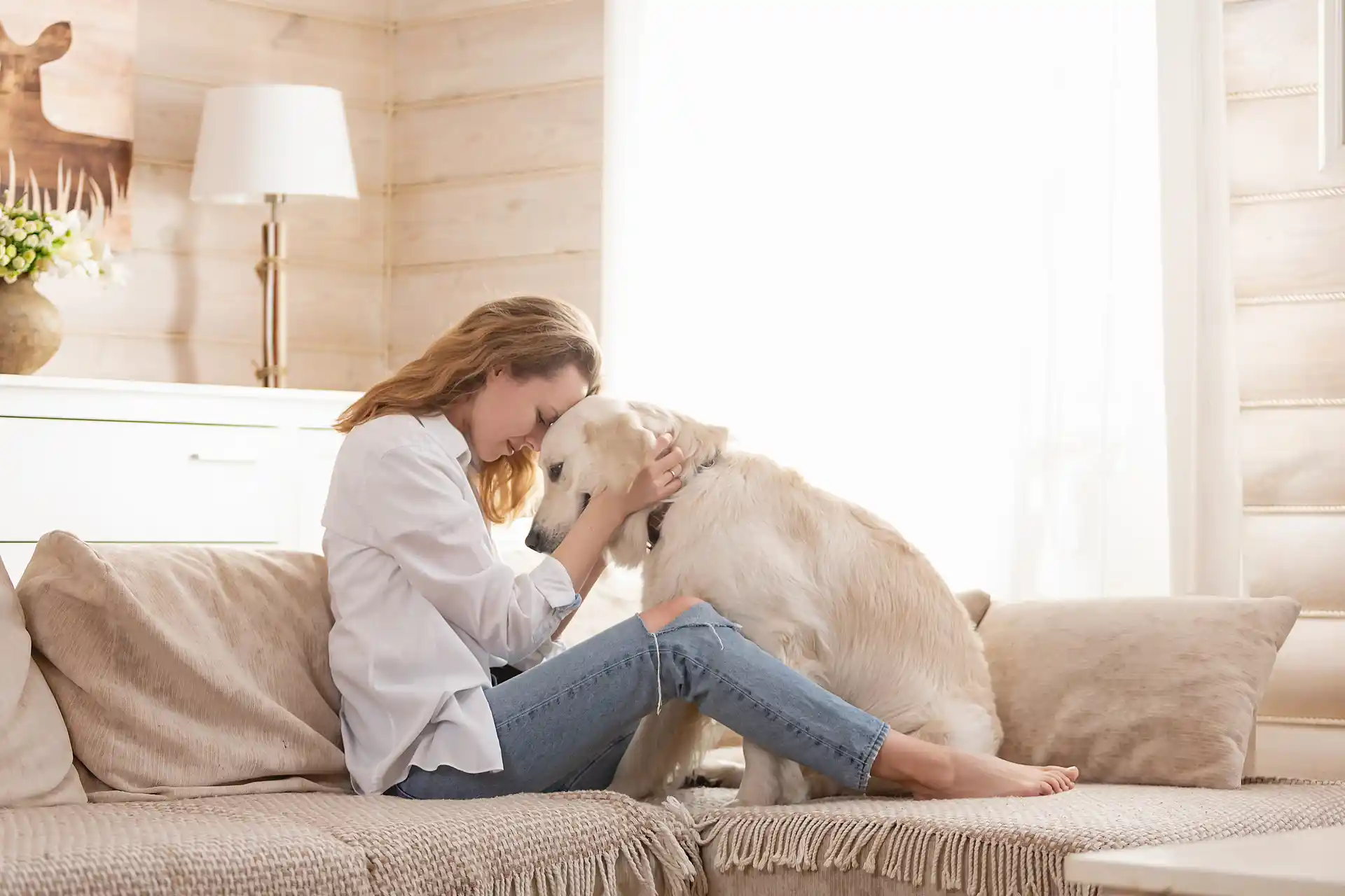 Role Of Park Pet Services Play in Promoting Pet Socialization